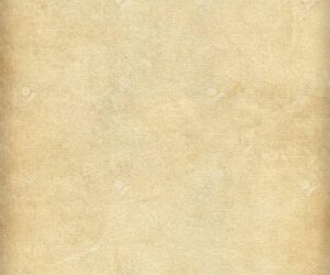 Explore Cardboard Options for Kraft Paper Roll Packaging Today