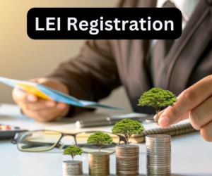What is an LEI Code?