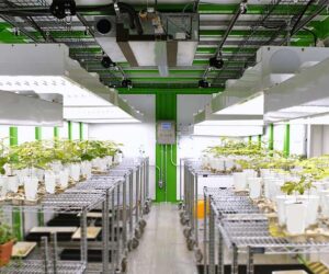 Plant Growth Chambers Market Size, Share, Analysis & Trends Forecast