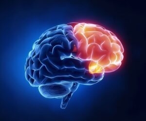 Artvigil 150mg: A Powerful Wakefulness Enhancer