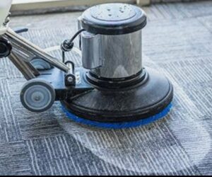 Local Carpet Cleaning Services: Fast and Affordable Solutions!