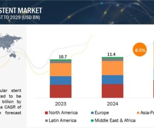 Vascular Stents Market Trends and Growth Forecast: Strategic Analysis for Industry Leaders by 2029