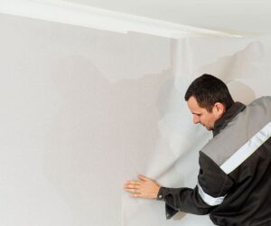 Transform Your Space with Expert Painters in London