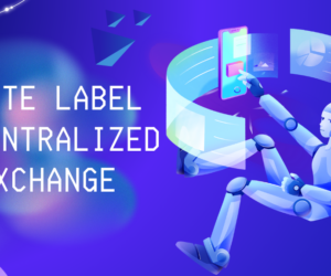 Decentralized Exchange Development: A Cost-Effective and Feature-Packed Solution from Coinsclone