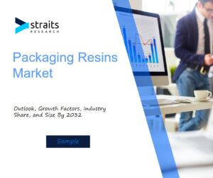 Packaging Resins Market Valued at USD 290.40 Billion in 2023, Expected to Grow to USD 540.66 Billion by 2032