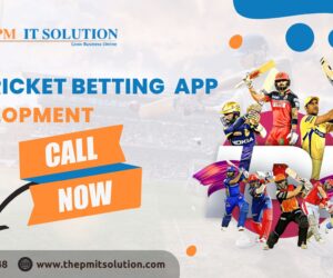 Cricket Betting App Development Services: Key Trends to Watch in 2025