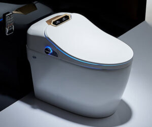 The Rise of the Smart Toilet: A Revolution in Bathroom Technology
