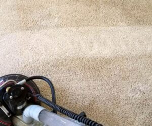 How Often Should You Clean Your Apartment’s Carpet?