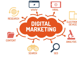 Digital Marketing Agency in Raipur – The Digital Socialite