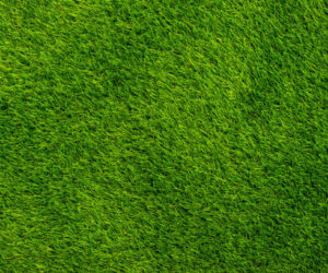Grass Carpet Dubai: A New Era of Green Décor