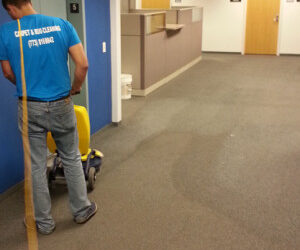 The Complete Guide to Residential Carpet Cleaning in Chicago