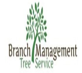 Branch Management Tree Service