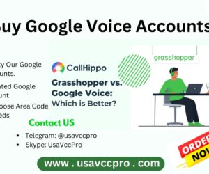 10 best sites to Buy Google Voice Accounts with USA