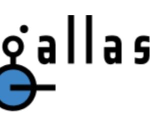 Gallas Label & Decal