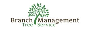 Branch Management Tree Trimming provides expert tree care services designed to improve the health, safety, and appearance of your trees. Our team of professionals uses precision techniques to trim and shape trees, promoting growth and preventing hazards. Whether for residential or commercial properties, we focus on maintaining the beauty of your landscape while ensuring the safety of your surroundings. Trust us for reliable, efficient, and top-quality tree trimming solutions.