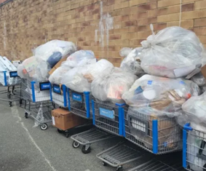 Reliable Junk Removal in Gainesville, Florida