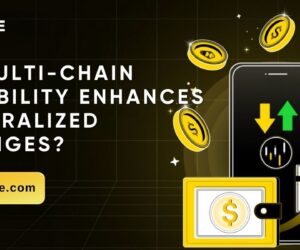 How Multi-Chain Compatibility Enhances Decentralized Exchanges?
