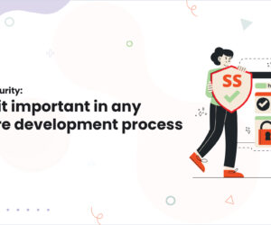 Software security: Why is it important in any software development process