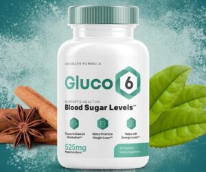 Gluco6: The Truth About This Blood Sugar Formula