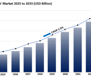 Activewear Market Size, Share, Trends, Industry Report 2025